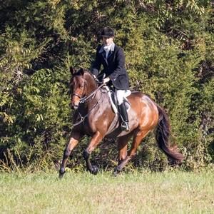 Meet your Posher, Kathy